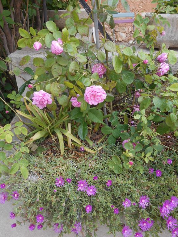 Le Mas Des Baux Bedoin Ngoại thất bức ảnh