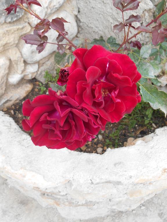 Le Mas Des Baux Bedoin Ngoại thất bức ảnh