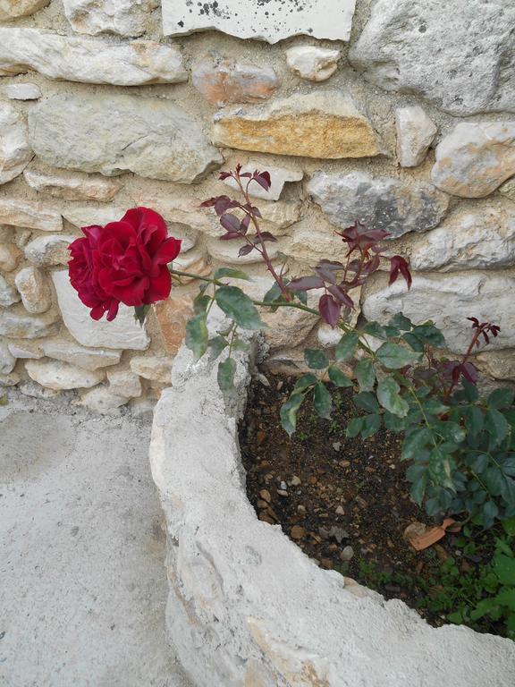 Le Mas Des Baux Bedoin Ngoại thất bức ảnh