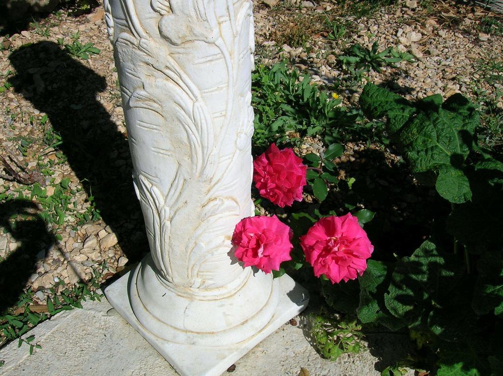 Le Mas Des Baux Bedoin Ngoại thất bức ảnh